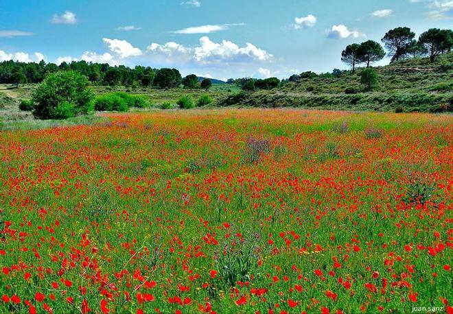 Sierra de Mariola