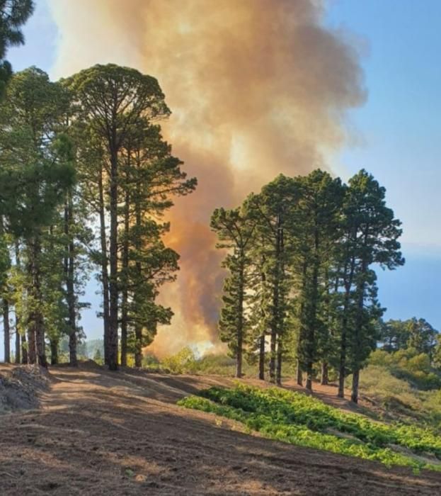 Incendio en Garafía