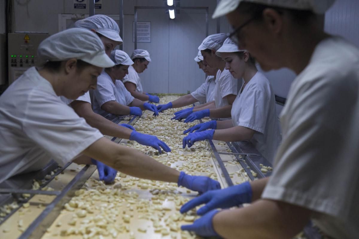 Fotogalería / De la tierra a la mesa; el ajo cordobés