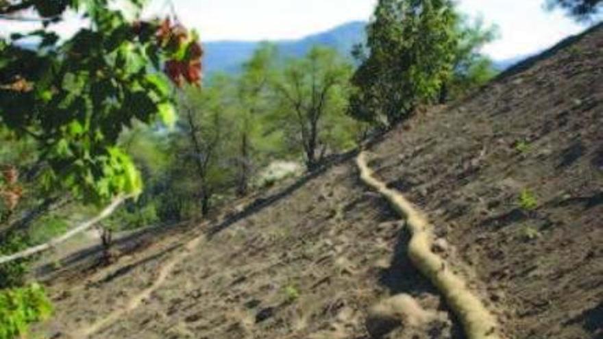 La Xunta comienza a colocar barreras para que la ceniza no llegue al Eume