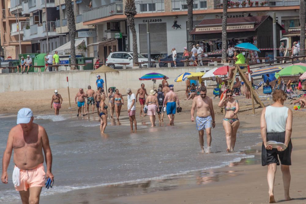 Primer día de baño autorizado en las playas de Torrevieja con arena parcelada y controles de acceso