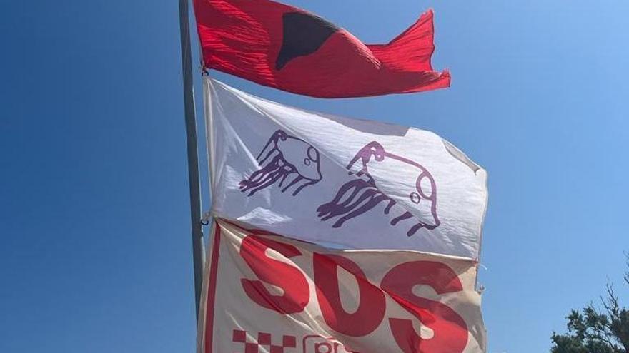 Señal instalada en la playa de Rabdells de Oliva