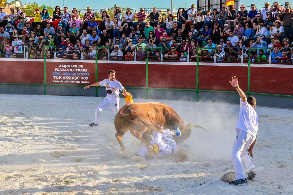 El concurso de recortadores vuelve tras 30 años de ausencia