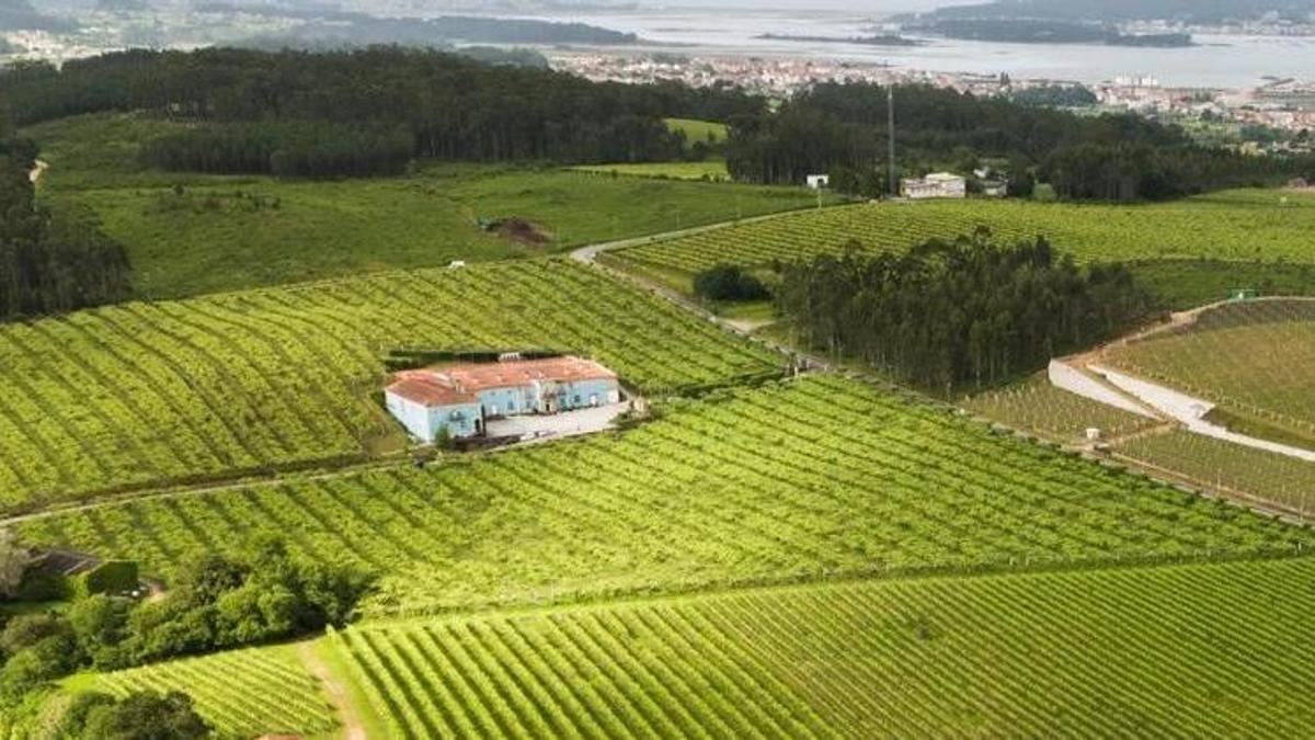 Bodegas Granbazán, en Tremoedo (Vilanova).