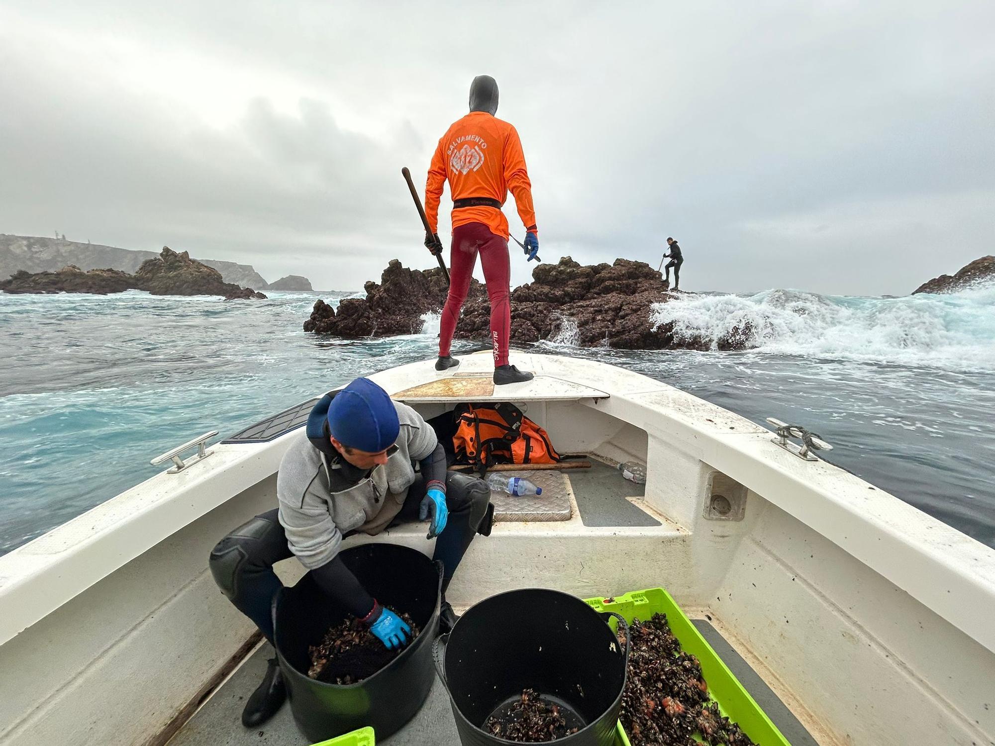 EN IMÁGENES: Así luchan los mariscadores de Luanco por cada kilo de percebe en el cabo Peñas