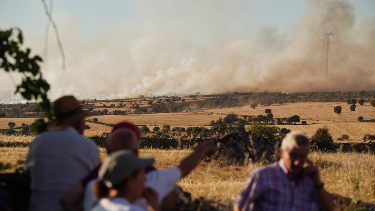 Nuevo incendio en Losacio.