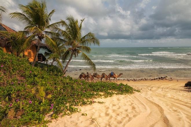 Genipabu, Natal Brazil