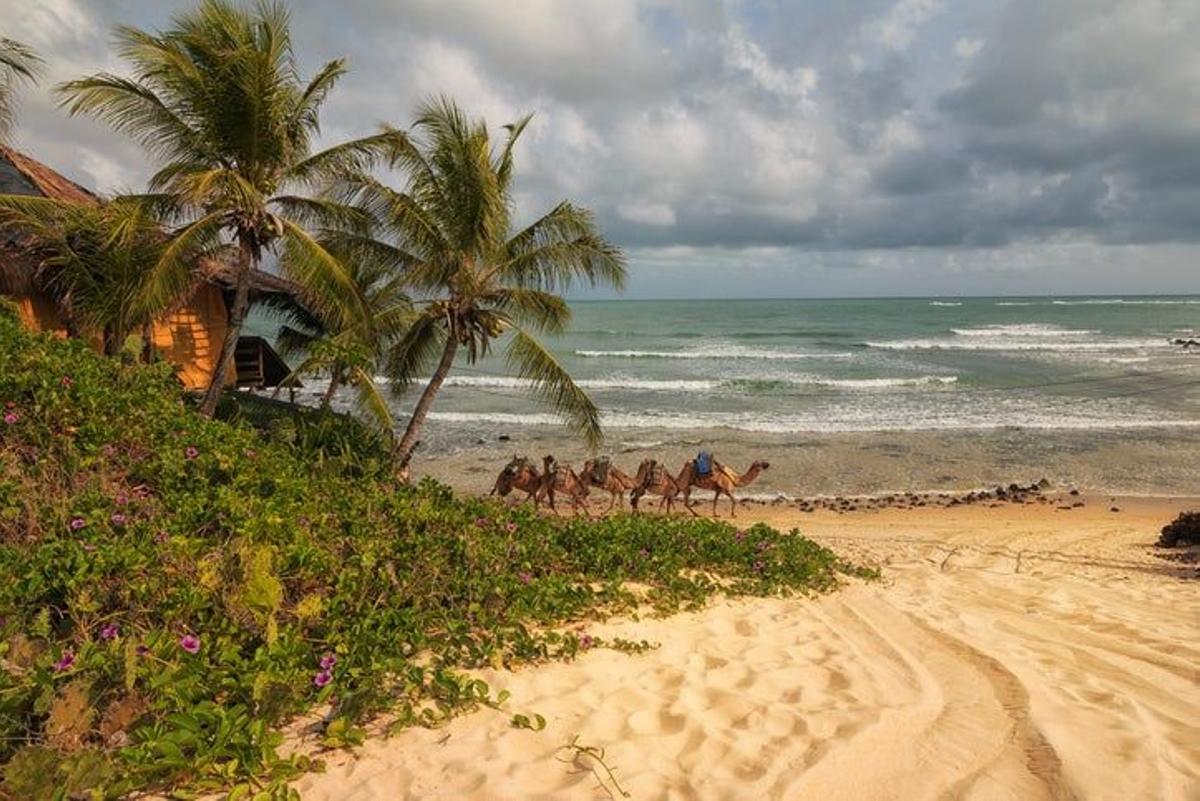 Genipabu, Natal Brazil
