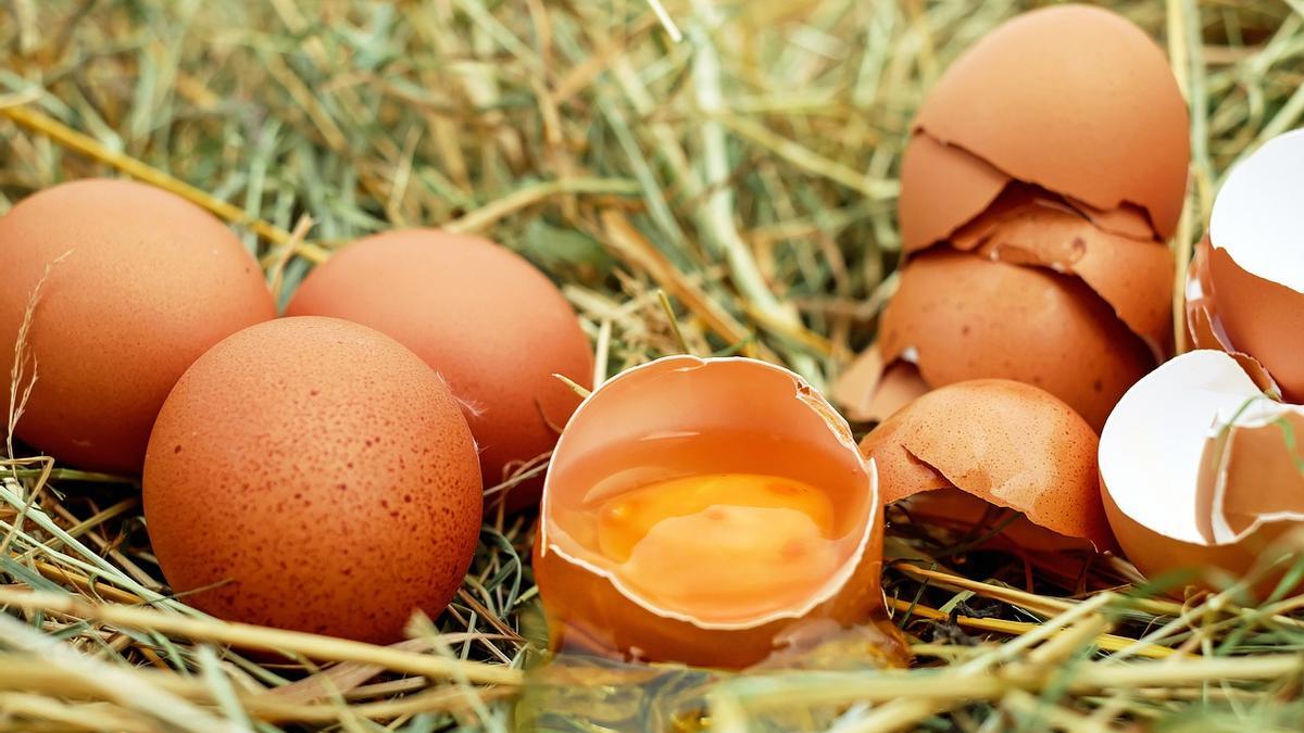 Los huevos son uno de los alimentos que favorecen a la producción del triptófano