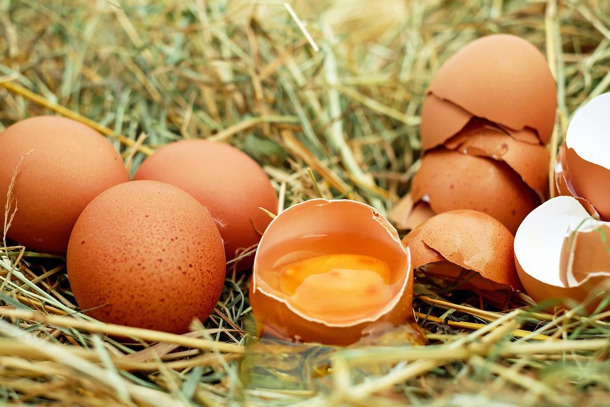 Los huevos necesitan que extrememos la precaución en verano por la salmonelosis