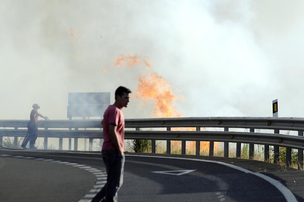 Incendio forestal en Lalín