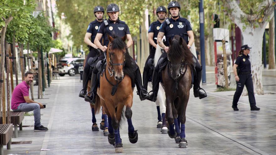 La Unidad de Caballería de la Policía Local de Murcia acaba en el juzgado
