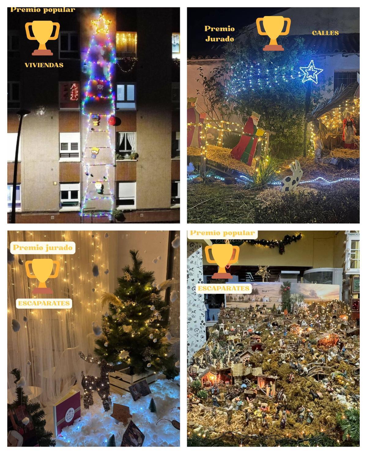 Las propuestas ganadoras de este 2025.