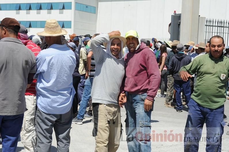 Protesta hortofrutícola en una empresa de El Raal