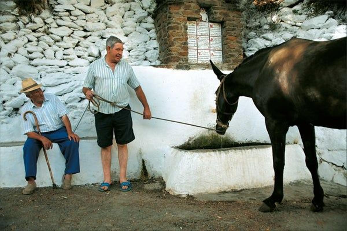 Fondales, un conjunto rural situado en una finca de cuarenta hectáreas en la villa de Cádiar.