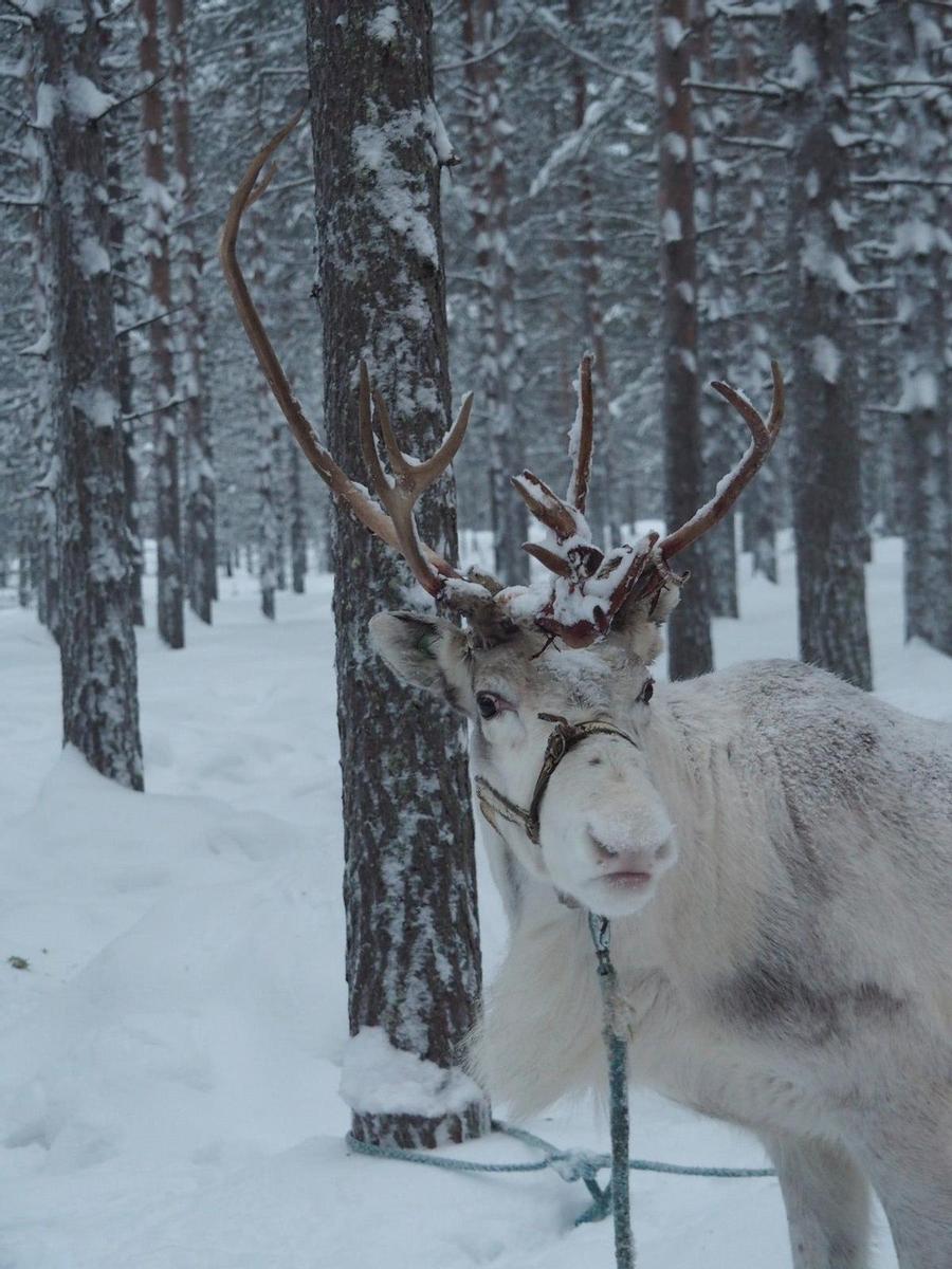 Akaslompolo, Finlandia