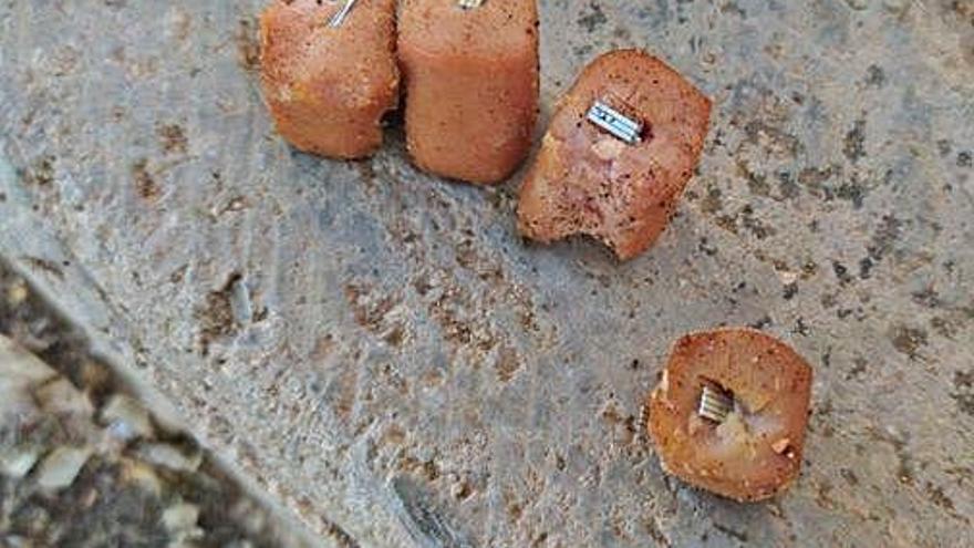 La carne con grapas en su interior que encontraron los vecinos.