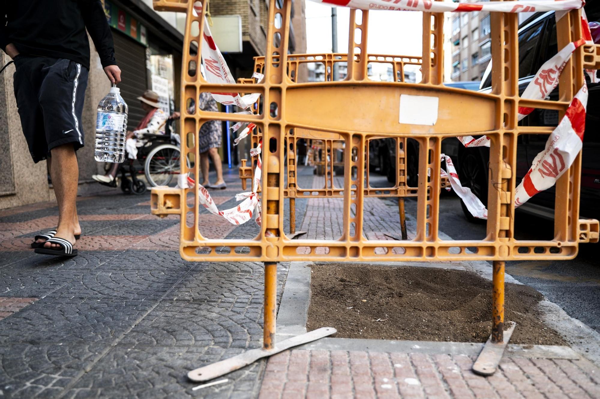 Obras para la plantación de árboles en Antonio Hurtado
