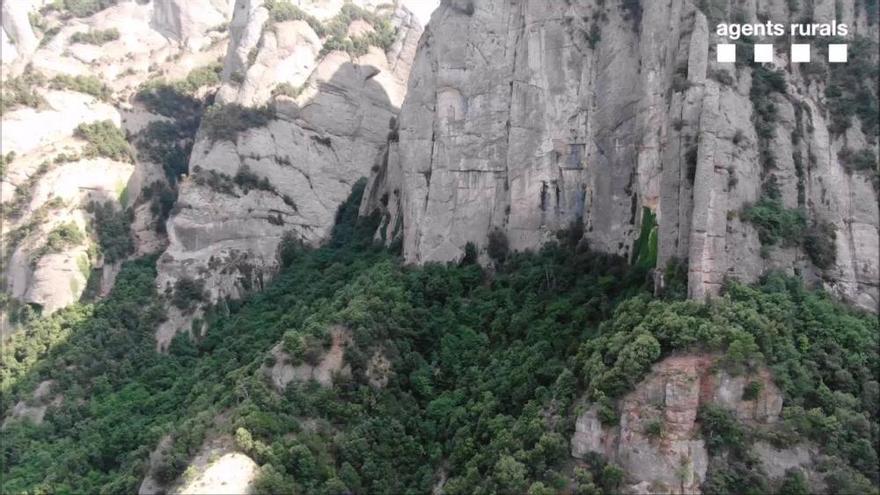 Imatges aèries de les esllavissades Montserrat des del dron dels Agents Rurals