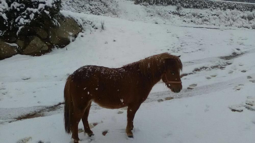 La nevada a Sant Hilari Sacalm