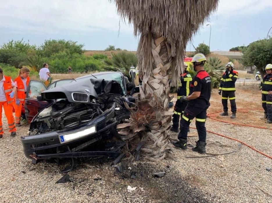 Un conductor sin carné se salta un control y se empotra contra una palmera en València