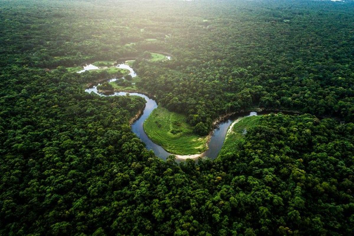 Río Amazonas, Sudamérica