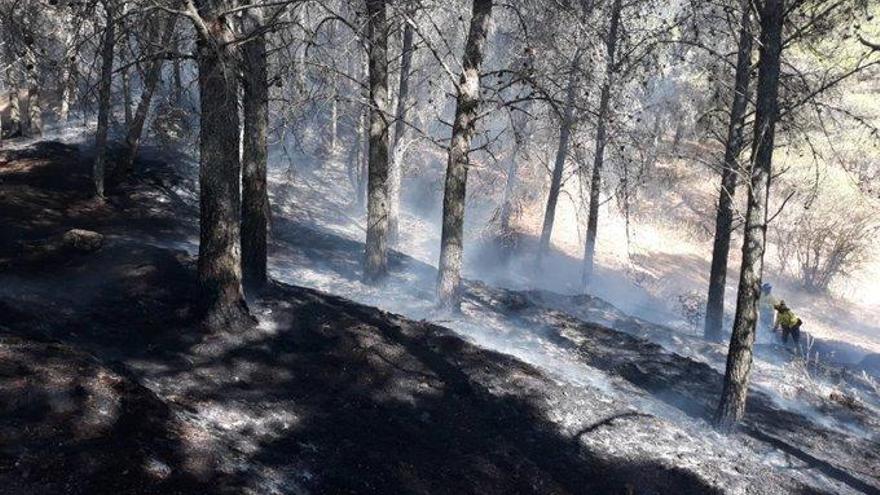 Zona afectada por el fuego en El Romeral.