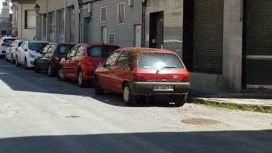 Vehículo con las abejas en su lateral trasero. // A.F.