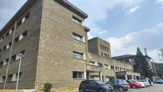 Ya se sabe qué virus ha generado un brote de gastroenteritis en Cangas del Narcea con "cerca de 200 afectados"
