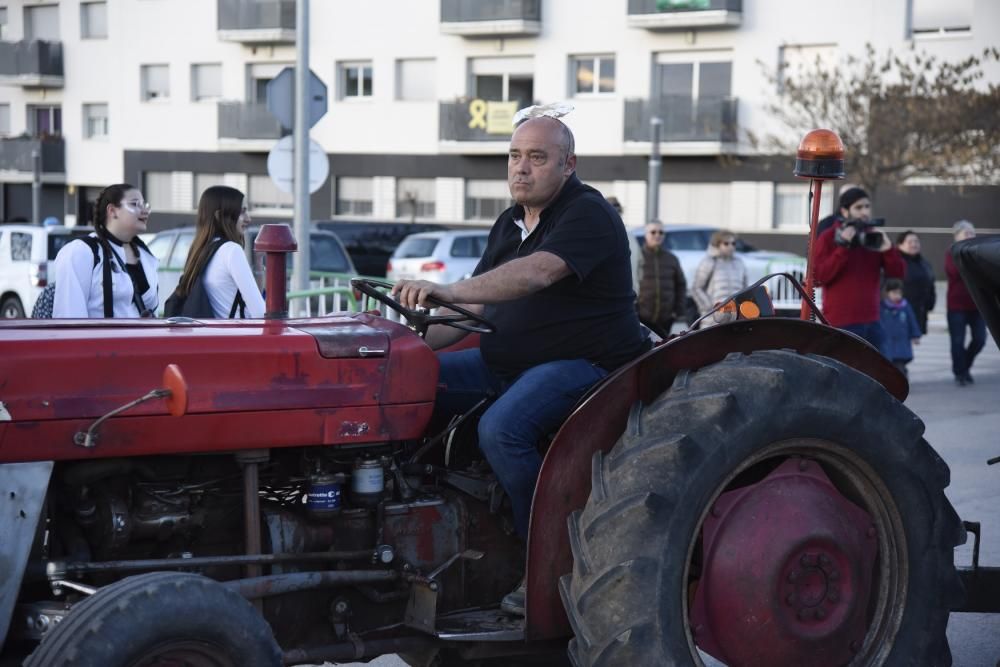 El Carnaval d''Artés en imatges