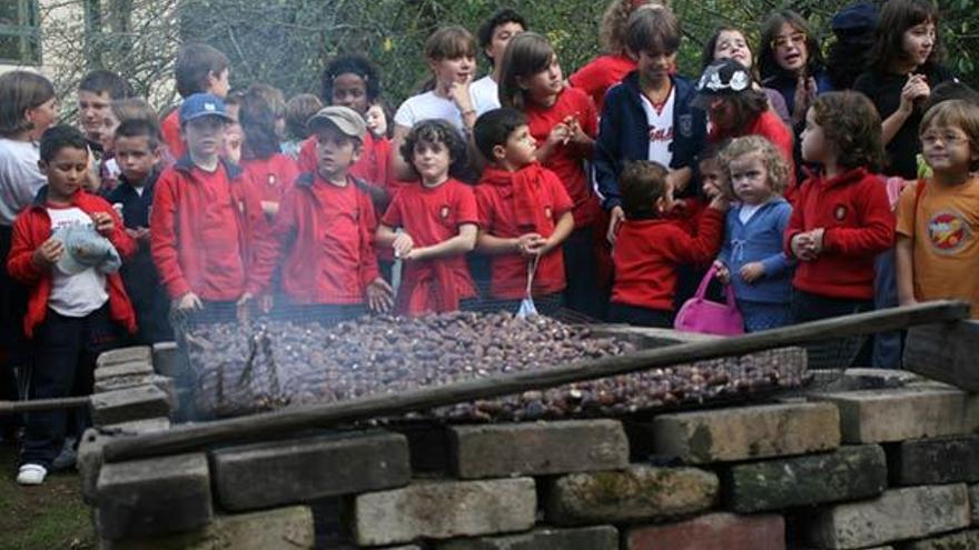 Los alumnos de Nuestra Señora de Lourdes celebraron ayer un magosto.  // Bernabé/Cris M.V.