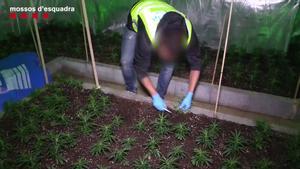 3a1e5ab8-c7f8-4a95-8f17-0b5e2537a7be-hd-web