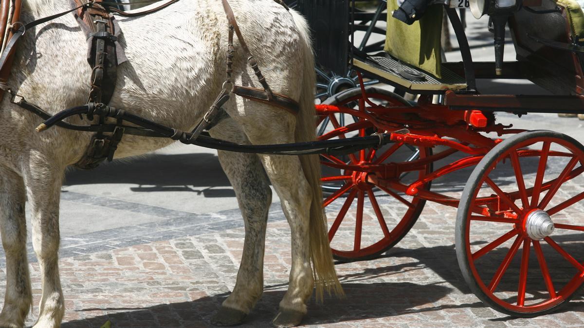 Imagen de archivo de un coche de caballos en Córdoba.