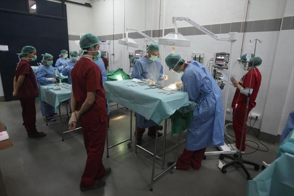 Referentes en el caballo