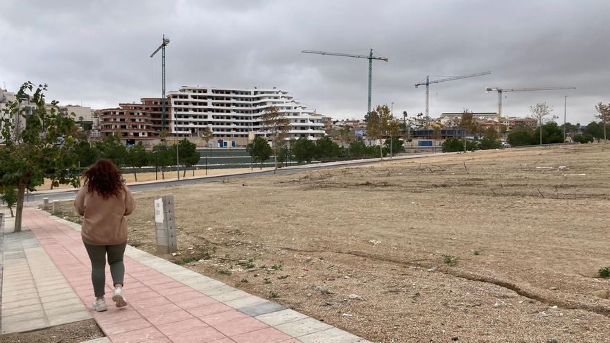 Advierten del riesgo de inundación del sector &quot;Invernaderos&quot; de San Miguel de Salinas donde están previstas 2.300 viviendas
