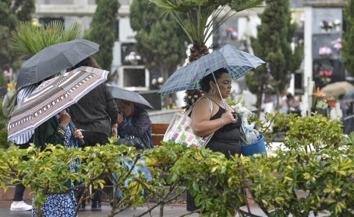 01/11/2018 LAS PALMAS DE GRAN CANARIA. Día de ...