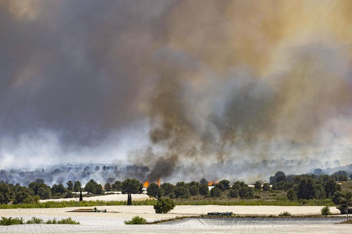Incendio en Sierra Espuña.