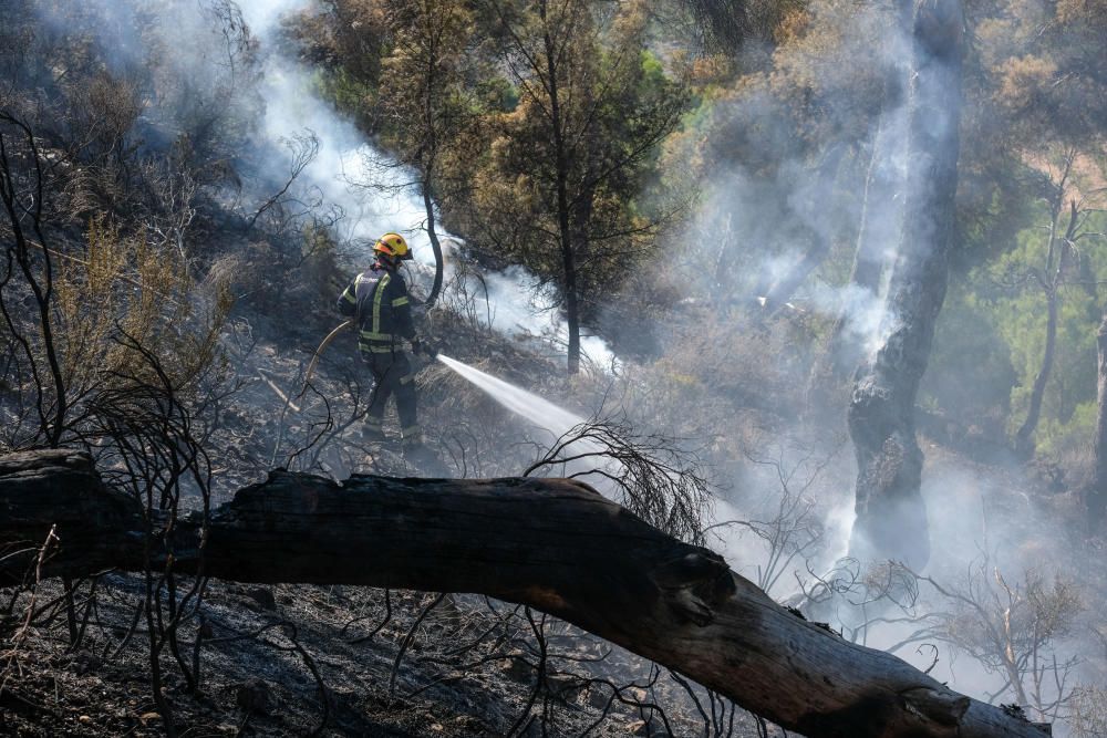 El fuego se inició a última hora de ayer miércoles y ha estado activo toda la noche.