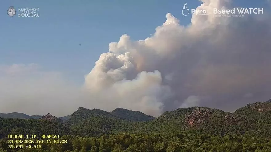 Sigue en directo el avance del incendio en la Calderona