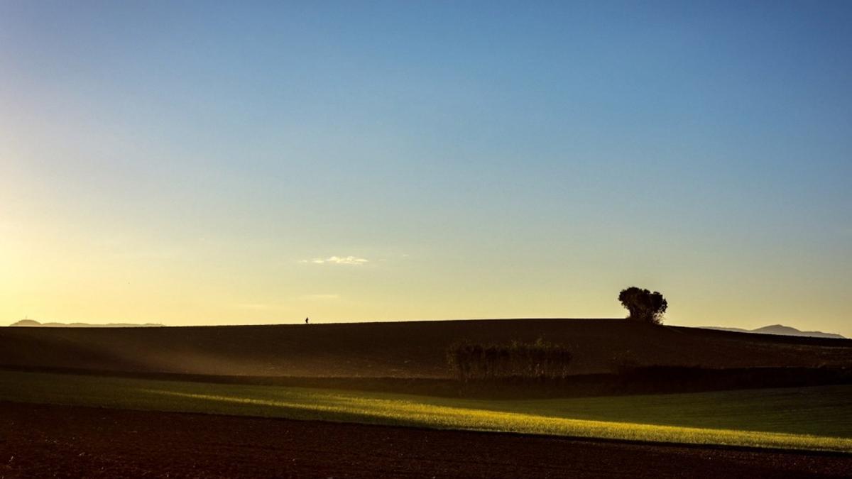 Fotografía de Gallecs realizada por Cesc Gudayol.