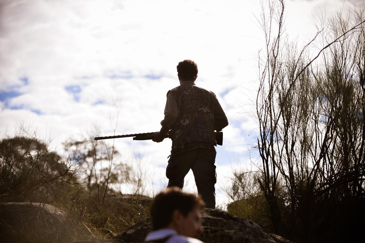 Un cazador, durante una jornada de caza del conejo en la zona norte de Córdoba.