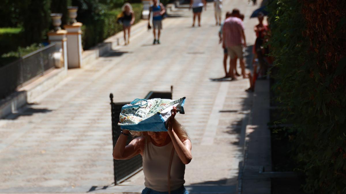 Una persona se resguarda del sol con un mapa para soportar las altas temperaturas