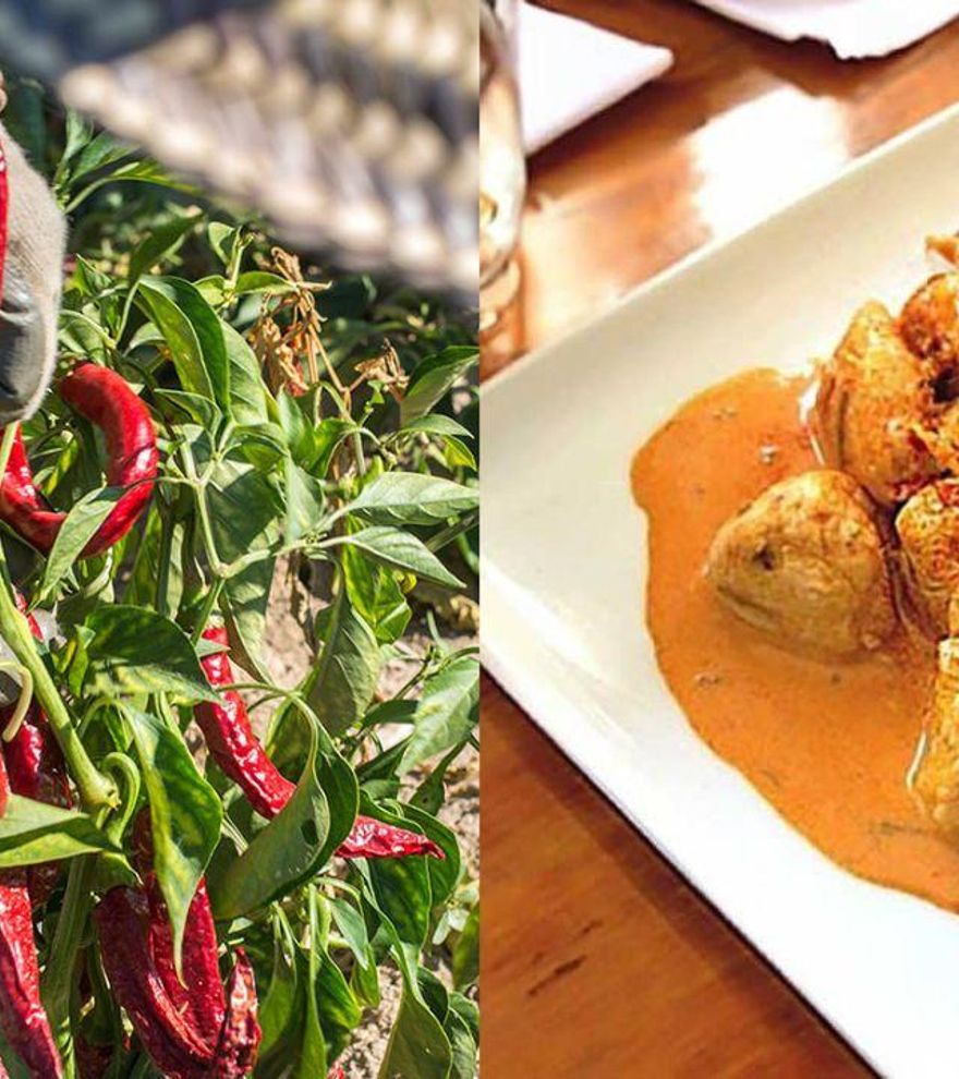 Seis recetas en un minuto: Así puedes cocinar algo diferente y fácil esta semana