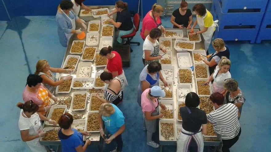 Las mariscadoras trabajan en la elaboración del longueirón para las empanadas en la lonja. // FdV