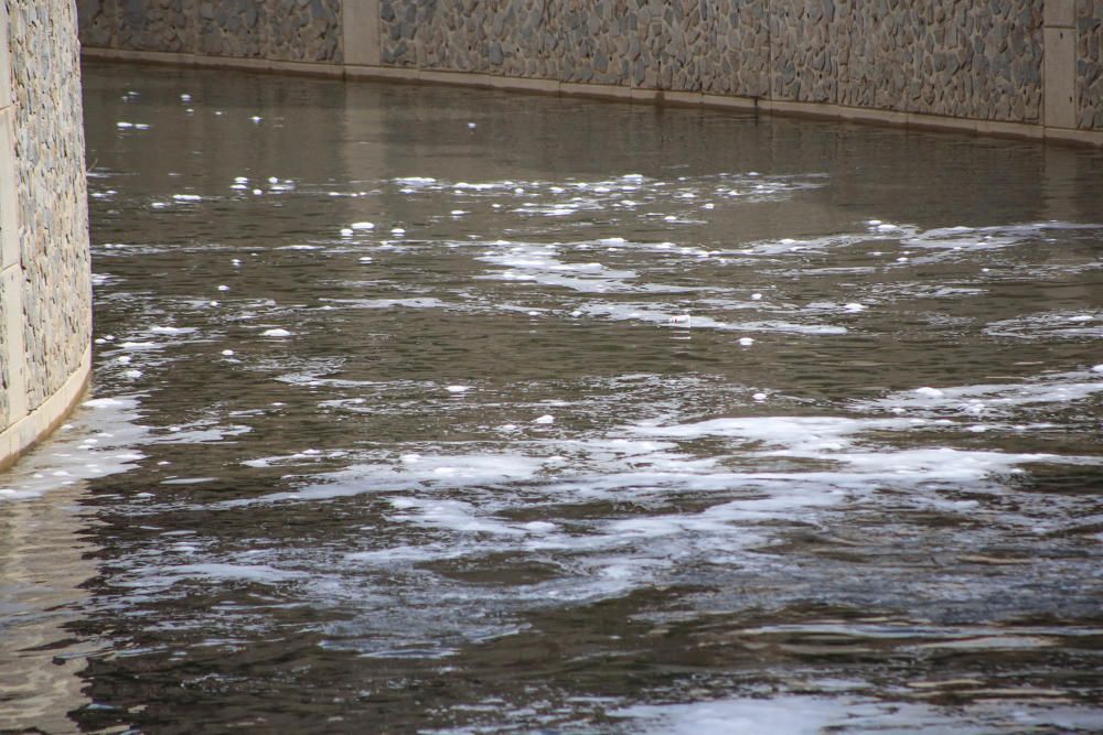 La CHS investiga la aparición de espuma en superficie a lo largo del cauce del Segura en toda la comarca, tras las lluvias que se han registrado en los últimos días.