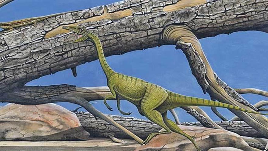 Dibujo elaborado por Arturo de Miguel en el que aparecen un dinosaurio pterópodo de pequeño tamaño y el lagarto del Jurásico (dentro del círculo).