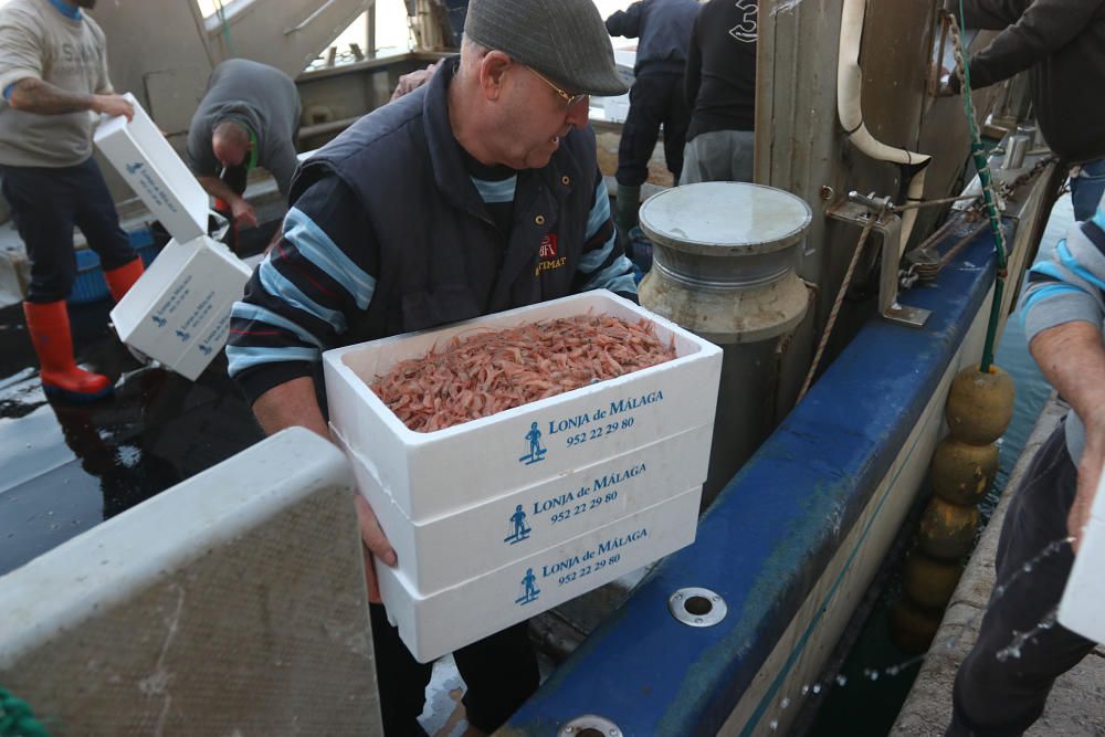 Tan solo cinco compradores y un barco se encargan de llevar el marisco y el pescado de arrastre cada día a la mesa de los malagueños donde la merluza y las gambas son las grandes protagonistas.