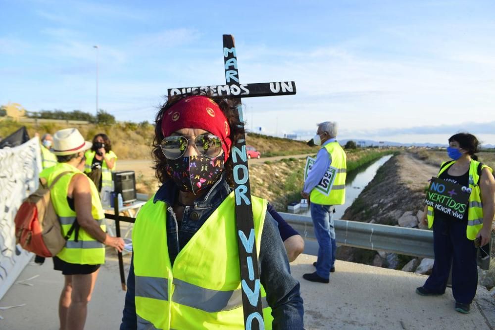 Manifestación en Los Alcázares por el ecocidio del Mar Menor