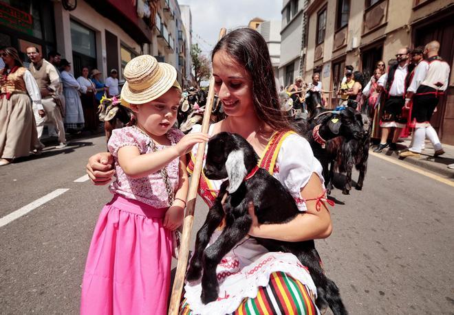 Romería de San Benito 2026