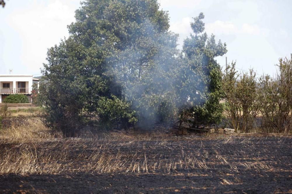 Incendio en Sant Antoni